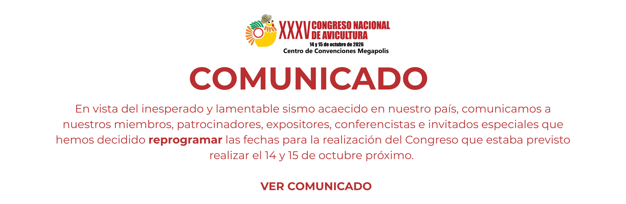 Banner web - inicio